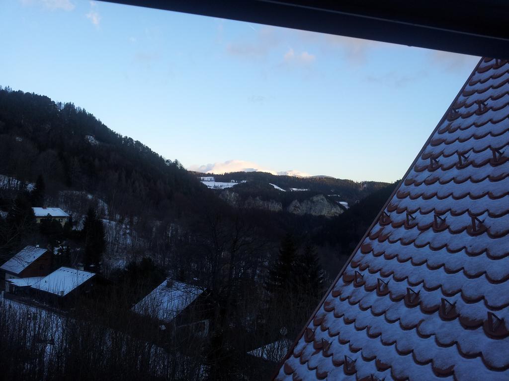 Villa Wellspacher Semmering Exterior photo